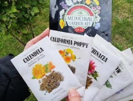 person holding Medicinal Garden Kit