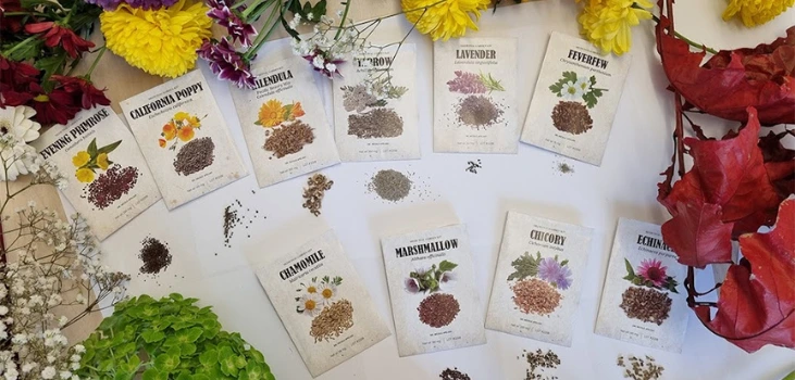 Medicinal Garden Kit on white surface