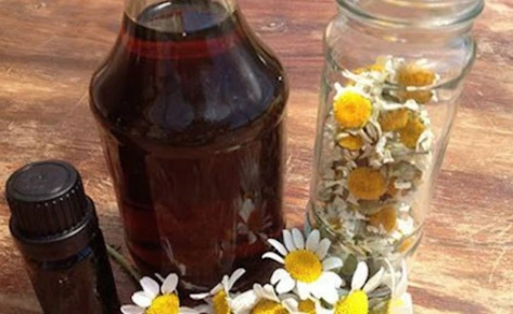 Medicinal Garden Kit Chamomile